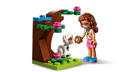 LEGO®-Friends Le véhicule de mission d'Olivia Jouet pour Fille et Garçon à  Partir de 6 Ans et Plus, 223 Pièces 41333 41333 - Cdiscount Jeux - Jouets