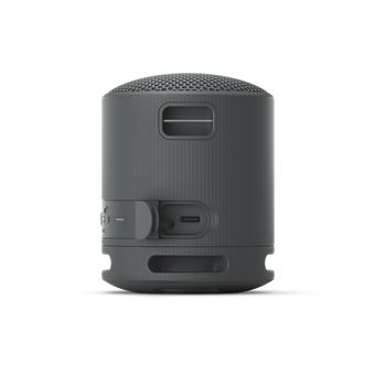 Sony SRS-XB100 - Haut-parleur - pour utilisation mobile - sans fil - Bluetooth - Contrôlé par application - noir