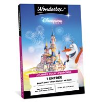 Wonderbox Connect Parcs : Coffrets cadeaux parcs d'attractions