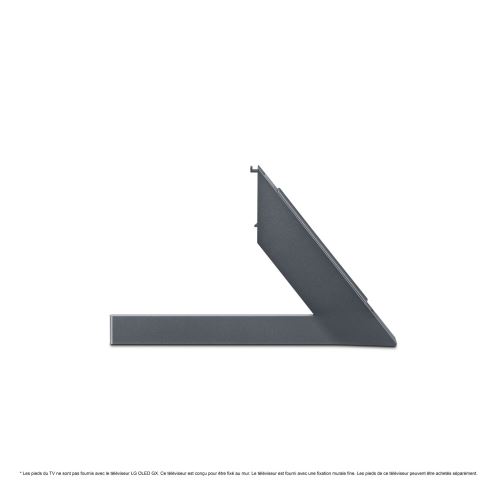 Pied TV Gris AN-GXDV77.AEU pour TV LG Gallery OLED77GX