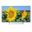 Sony KD-49XF8505 49" EDGE LED 4K Smart TV_0