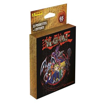 PANINI - Blister Vendée Globe - 12 Pochettes + 1 Offerte - 65 Stickers - Album Officiel - Édition 2024