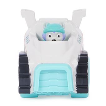 Voiture Paw Patrol Pack de 6 Vehicules Neon True Metal Paw