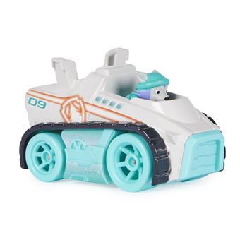 Voiture Paw Patrol Pack de 6 Vehicules Neon True Metal Paw