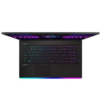 PC Portable Gaming MSI Raider GE77HX 12UHS-075FR 17.3" Intel Core i9 64 Go RAM 2 To SSD Noir