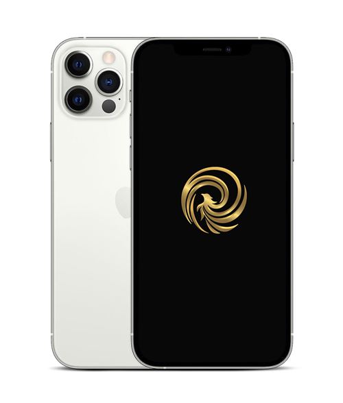 Apple iPhone 12 Pro 6,1 5G 128 Go Double SIM Argent Reconditionné Grade A Reborn