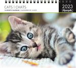 CALENDRIER 2023 SPIRALES CHATS