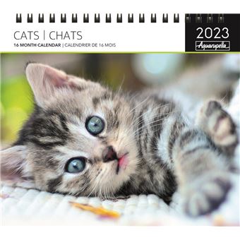 CALENDRIER 2023 SPIRALES CHATS