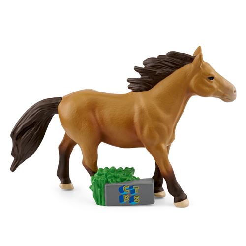 Tonie - CTPS Nos amis les Animaux (Cheval)