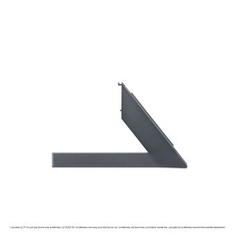 Pied TV Gris AN-GXDV55.AEU pour TV LG Gallery OLED55GX - 1