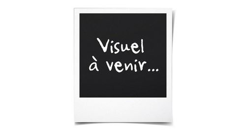 Expresso avec broyeur Jura 15181 D6 Platine