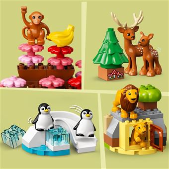 LEGO® DUPLO® 10975 Animaux sauvages du monde