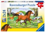 Puzzles 2 x 24 pièces Ravensburger Monde de chevaux