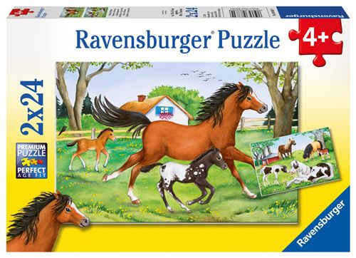 Puzzles 2 X 24 Pièces Ravensburger Monde De Chevaux