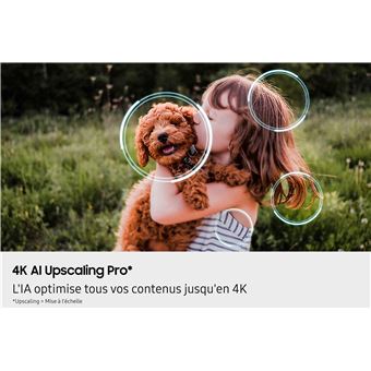 TQ77S90F OLED Sans latence 100Hz 4K AI 196cm 2025