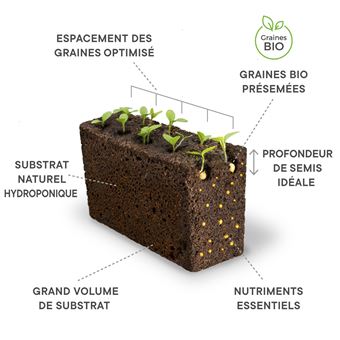 Lingot® Veritable Ciboulette Chinoise BIO