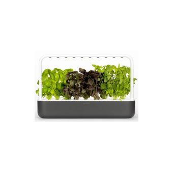 Potager d'intérieur Emsa CLICK&GROW PACK 3 CAPSULES ROQUETTE