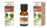 Huile Essentielle Ravintsara Plants 15 ml