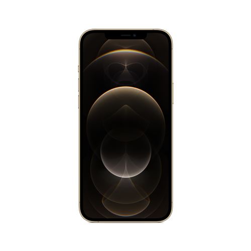 Acheter Apple iPhone 12 Pro Max 6,7"" 512 Go Double SIM 5G Or État correct - 333,00 € Apple iPhone 12 Pro Max 6,7"" 512 Go Double SIM 5G Or État correct - Apple reconditionné disponible sur Fnac