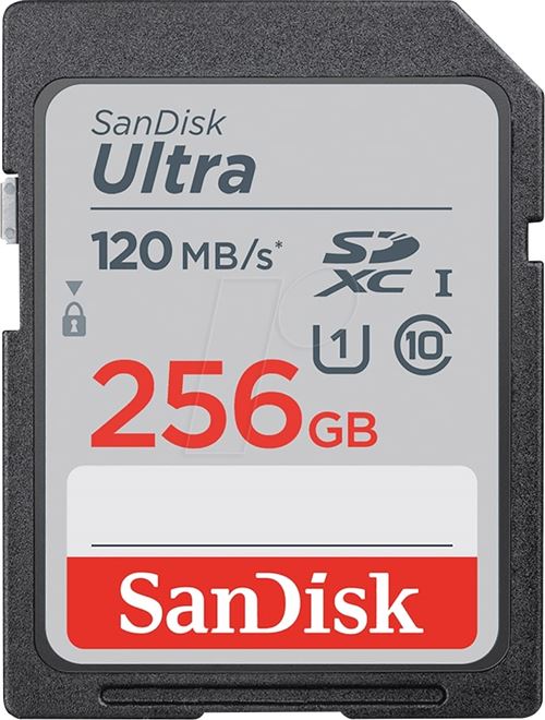 Carte mémoire SDXC SanDisk Ultra 256 Go Gris