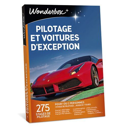 Pilotage et voitures d'exception