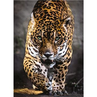 Puzzle 1000 pièces Clementoni High Quality Jaguar