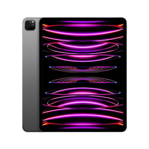 Apple iPad Pro 12,9" Puce Apple M2 256Go Gris Sidéral Wifi Cellular Fin 2022