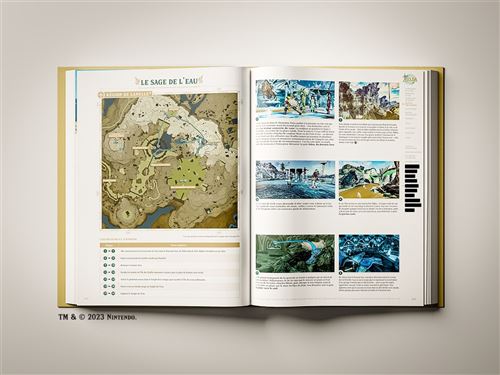 Guide officiel Zelda Tears Of The Kingdom Edition Collector sur Nintendo  Switch - Jeux vidéo