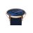Montre Connectée Withings Timeless Chic Bleu et Or Rose_3