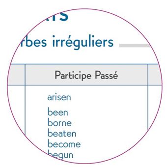 Agenda Journalier Exacompta 2022 2023 Forum Idérama Modèle aléatoire