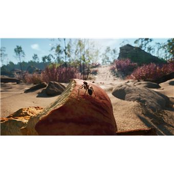 Jeu PC Les Fourmis - Version Française En Big Box (grosse Boîte Carton) Complète, Très Bon état