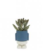 Pot de fleur Balvi Bleu et Blanc