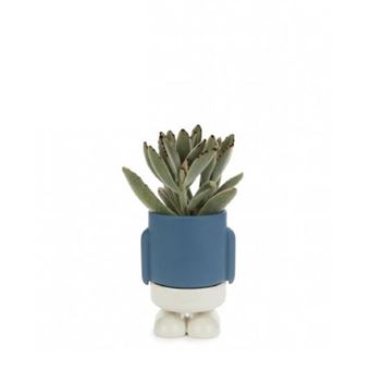 Pot de fleur Balvi Bleu et Blanc
