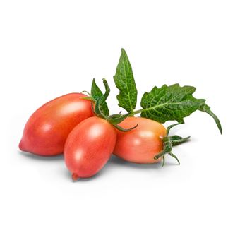 Lingot® Veritable Mini tomate rose