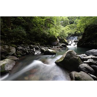 Objectif zoom Canon Hybride RF 16-28 mm f/2.8 IS STM Noir pour Monture Canon RF R et RF Hybride