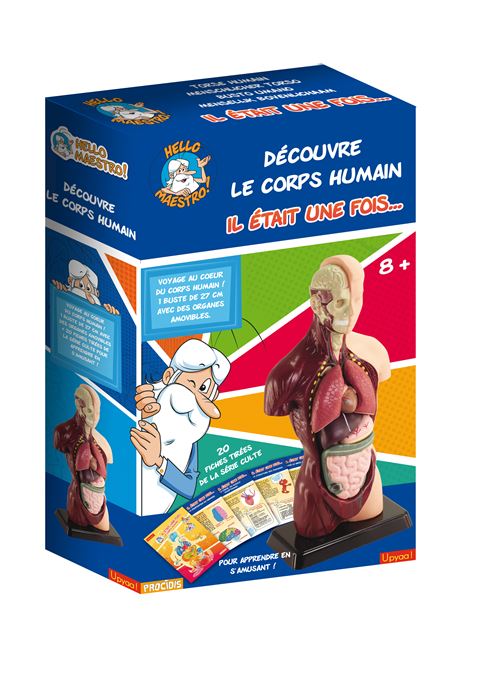 DECOUVRE LE CORPS HUMAIN HELLO MAESTRO