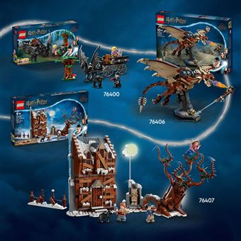 LEGO® Harry Potter 76406 Le Magyar à pointes