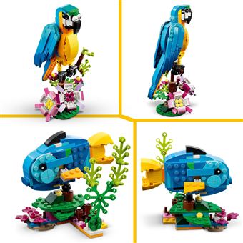 LEGO® Creator 3-en-1 31136 Le perroquet exotique