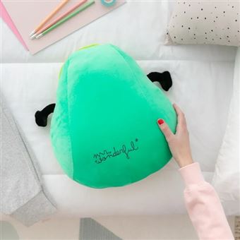 Coussin Mr. Wonderful Avocat