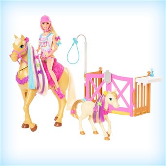 Coffret Barbie Toilettage des Chevaux avec poupée incluse