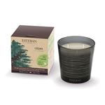 Bougie Esteban Cèdre Naturel 450 g