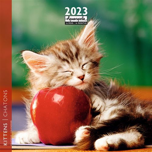 CALENDRIER 2023 30X30 CHATONS