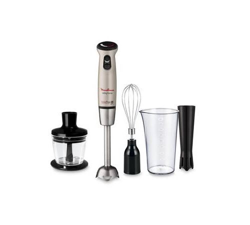 Pied mixeur 4 en 1 Moulinex Infiny Force DD866A10