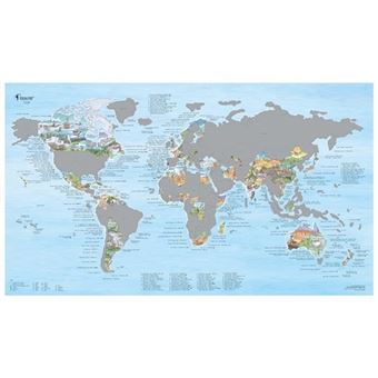 Carte murale à gratter encadrée - Carte du monde de voyage personnalisée -  Magnifique poster à gratter - Superbe décoration de carte - Blanc et doré :  : Fournitures pour le bureau
