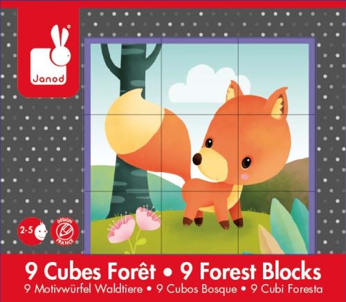 Set de 9 cubes Janod Forêt
