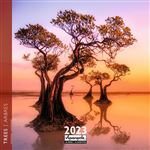 CALENDRIER 2023 30X30 ARBRES
