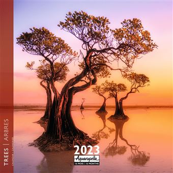 CALENDRIER 2023 30X30 ARBRES