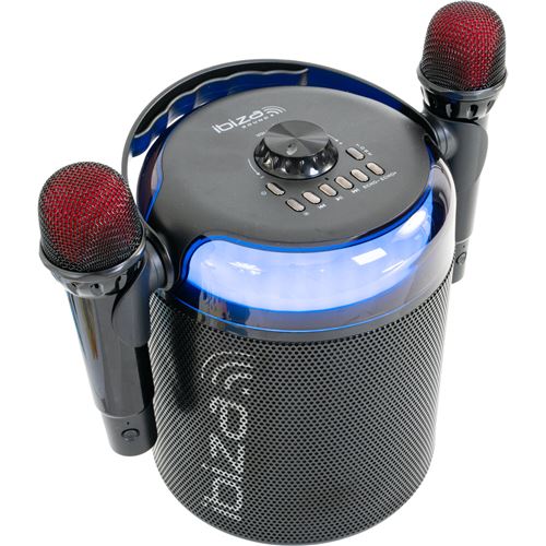 Lecteur Karaoké portable Ibiza Karahome avec 2 micros Noir