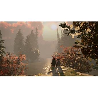 Life Is Strange 2 Code in a box Nintendo Switch