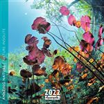 Calendrier Pictura 2022 Nature insolite 30 x 30 cm